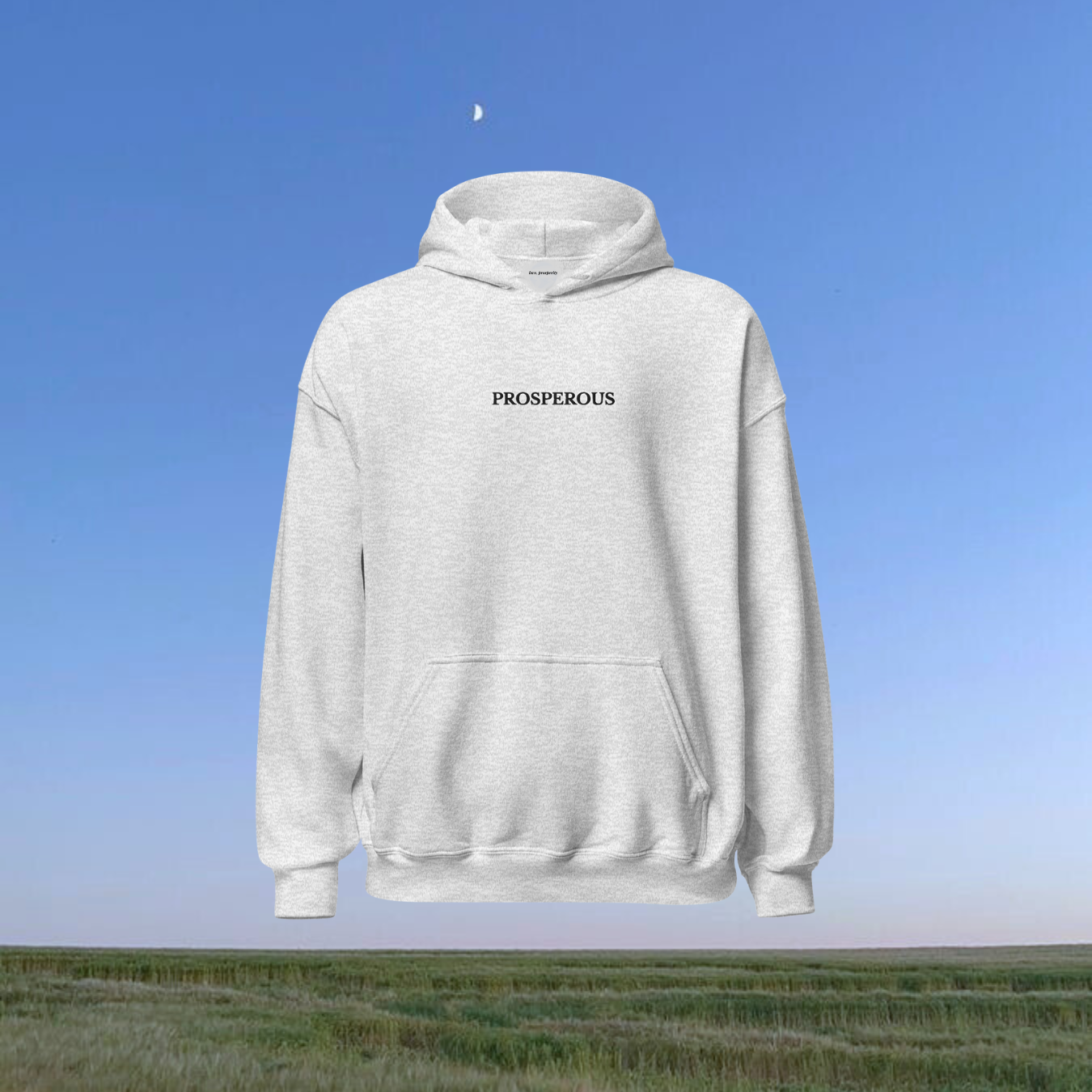 So Prosperous Hoodie- Grey