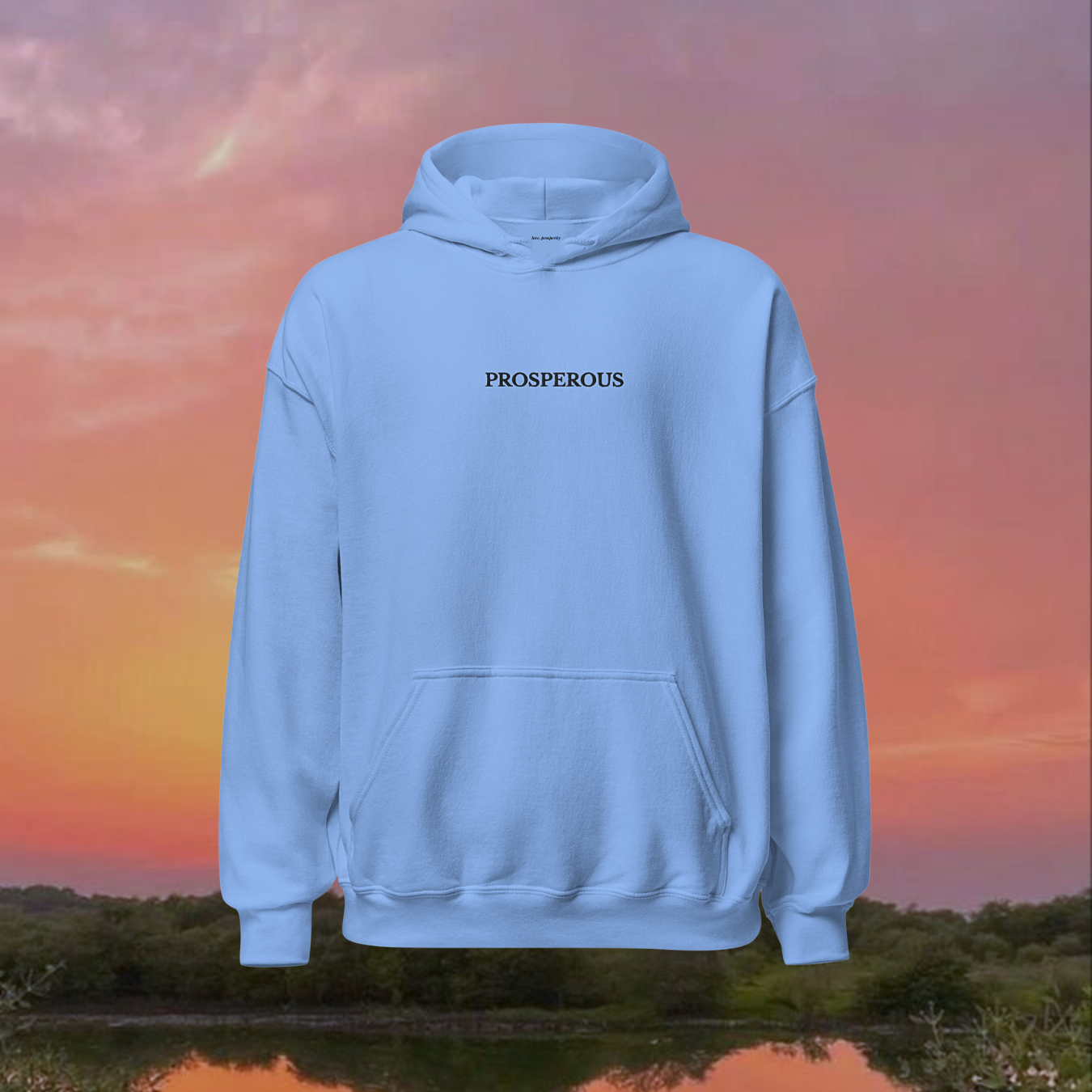 So Prosperous Hoodie- Blue