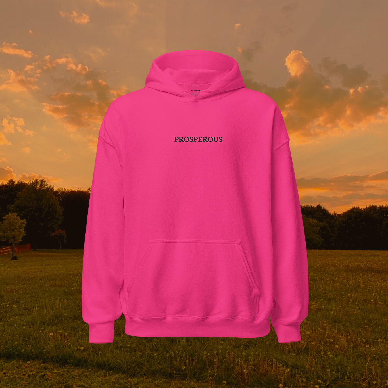So Prosperous Hoodie- Pink