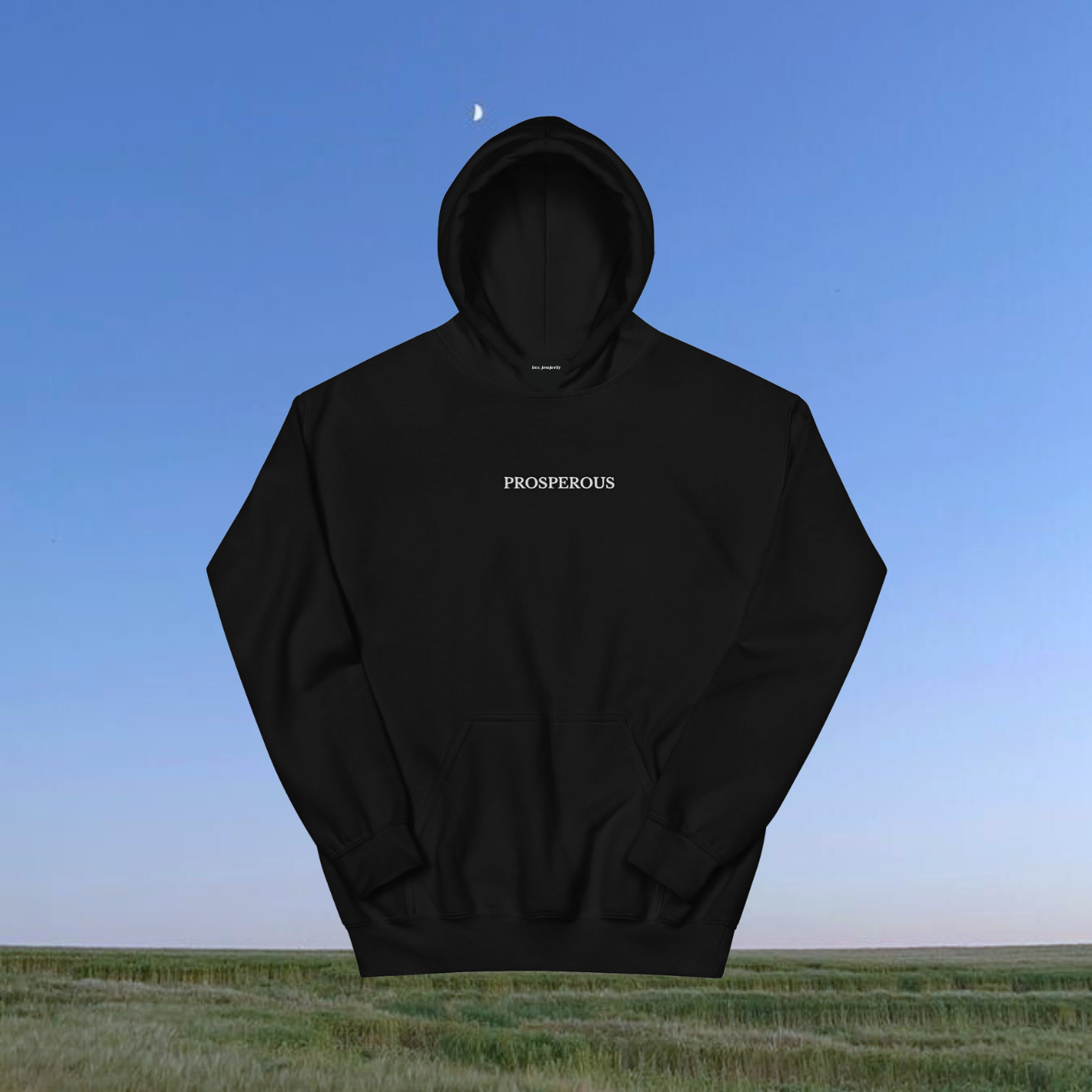 So Prosperous Hoodie- Grey